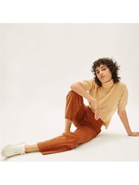 Everlane Corduroy Easy Pant in Burnt Orange Size 8